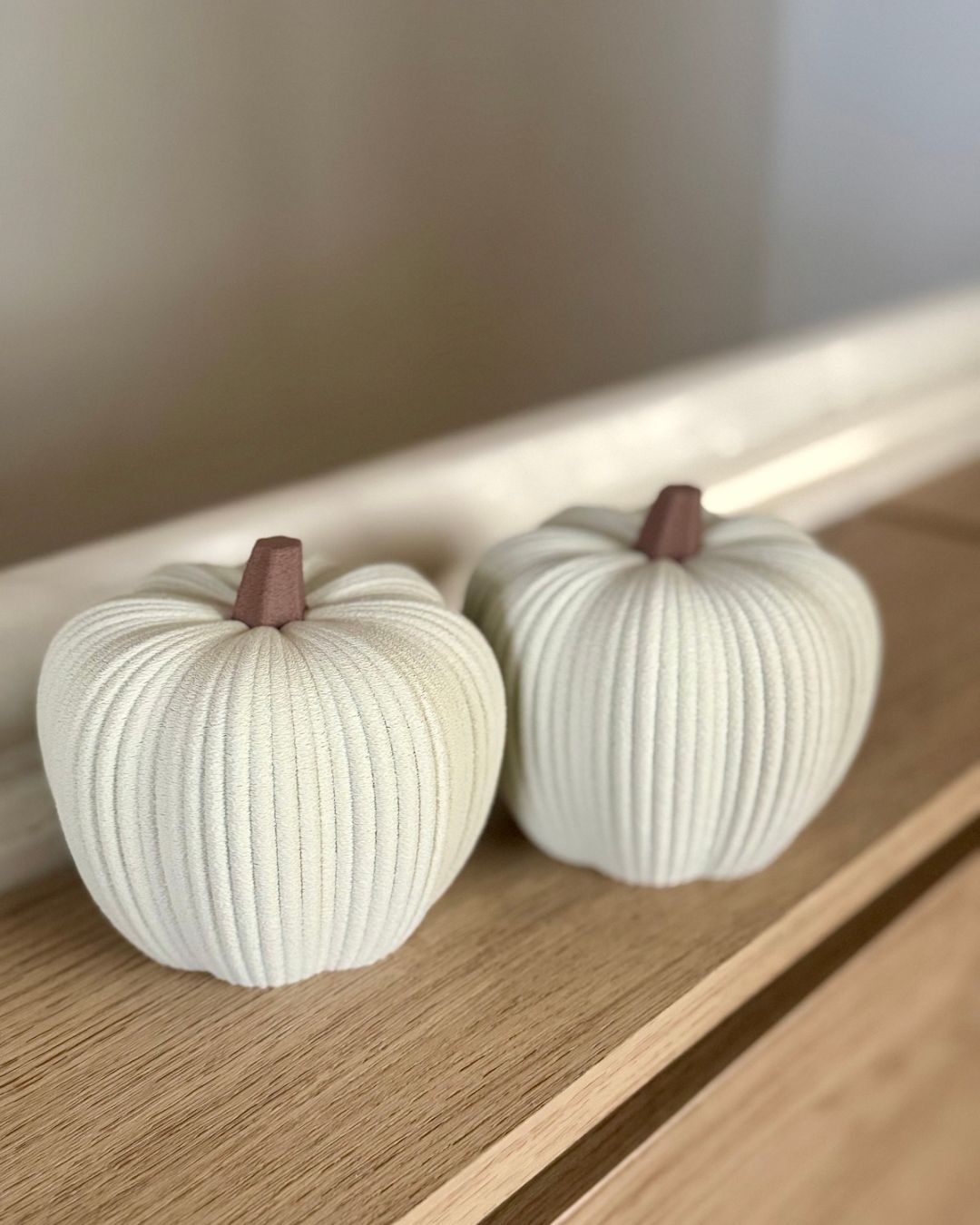 Minimalist Ribbed Pumpkins