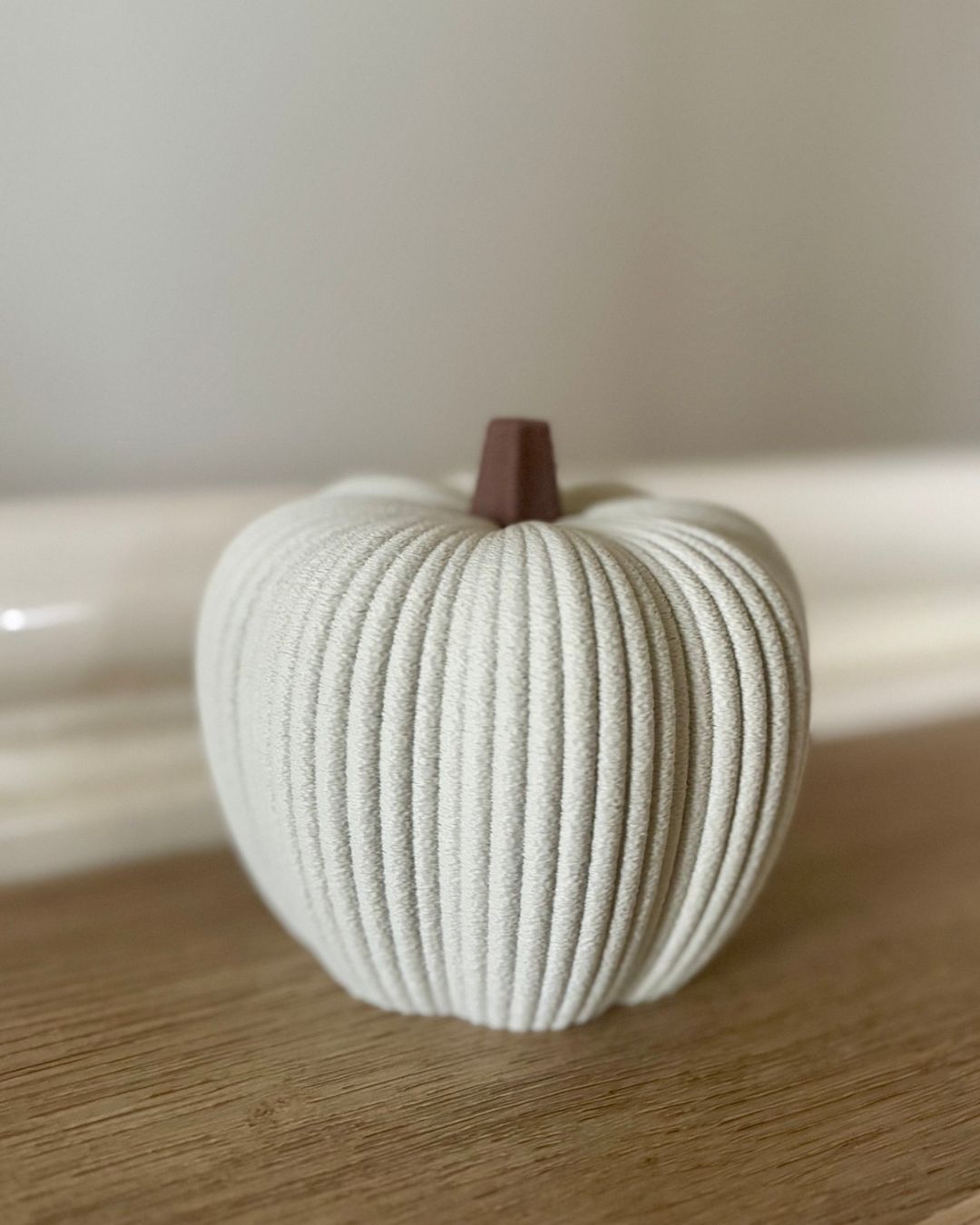 Minimalist Ribbed Pumpkins