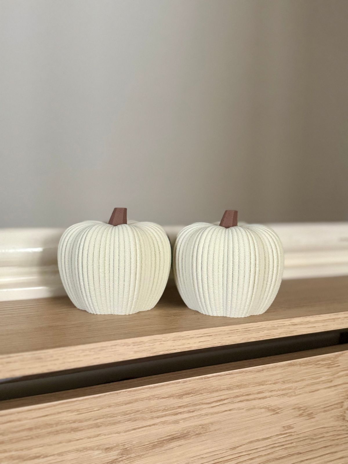 Minimalist Ribbed Pumpkins
