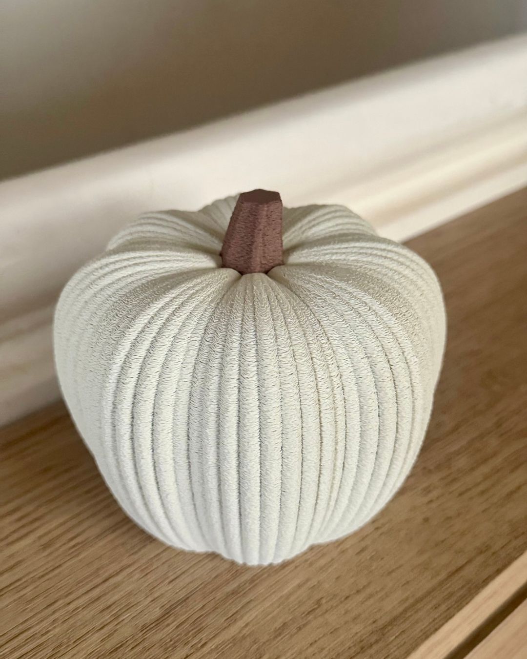 Minimalist Ribbed Pumpkins