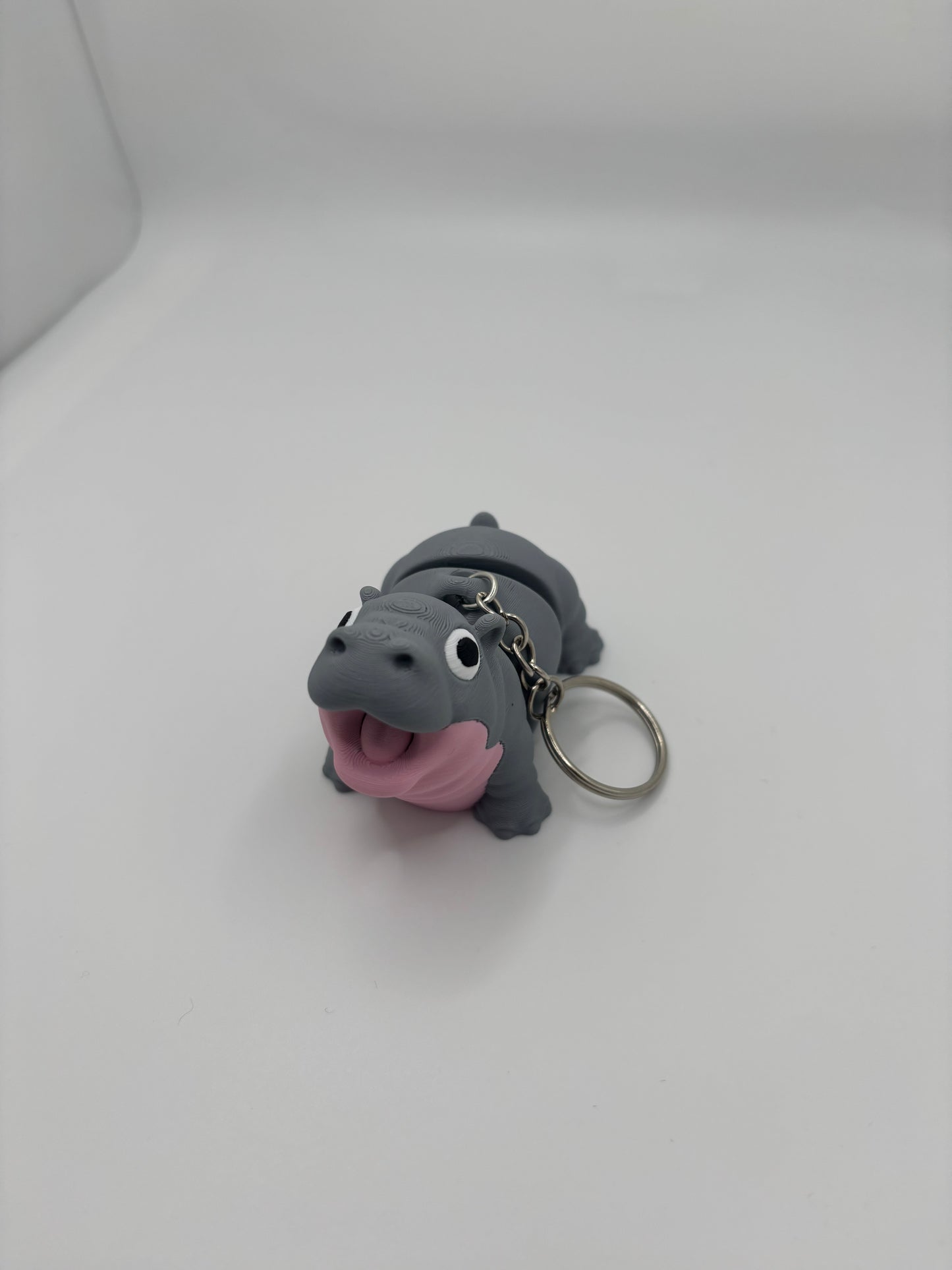 Cute Animals