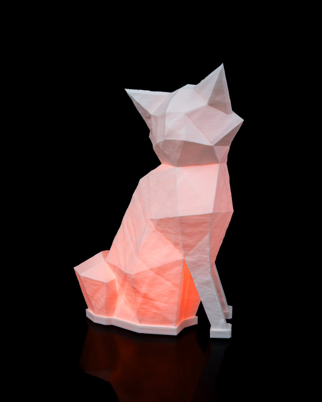Night lights - Fox