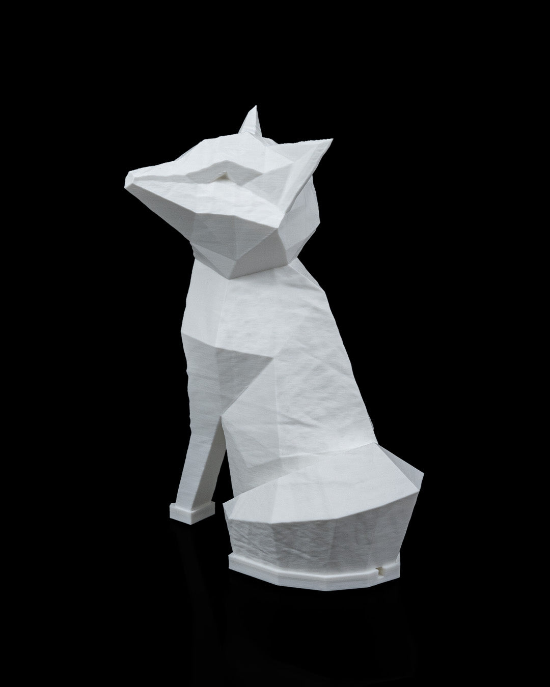 Night lights - Fox