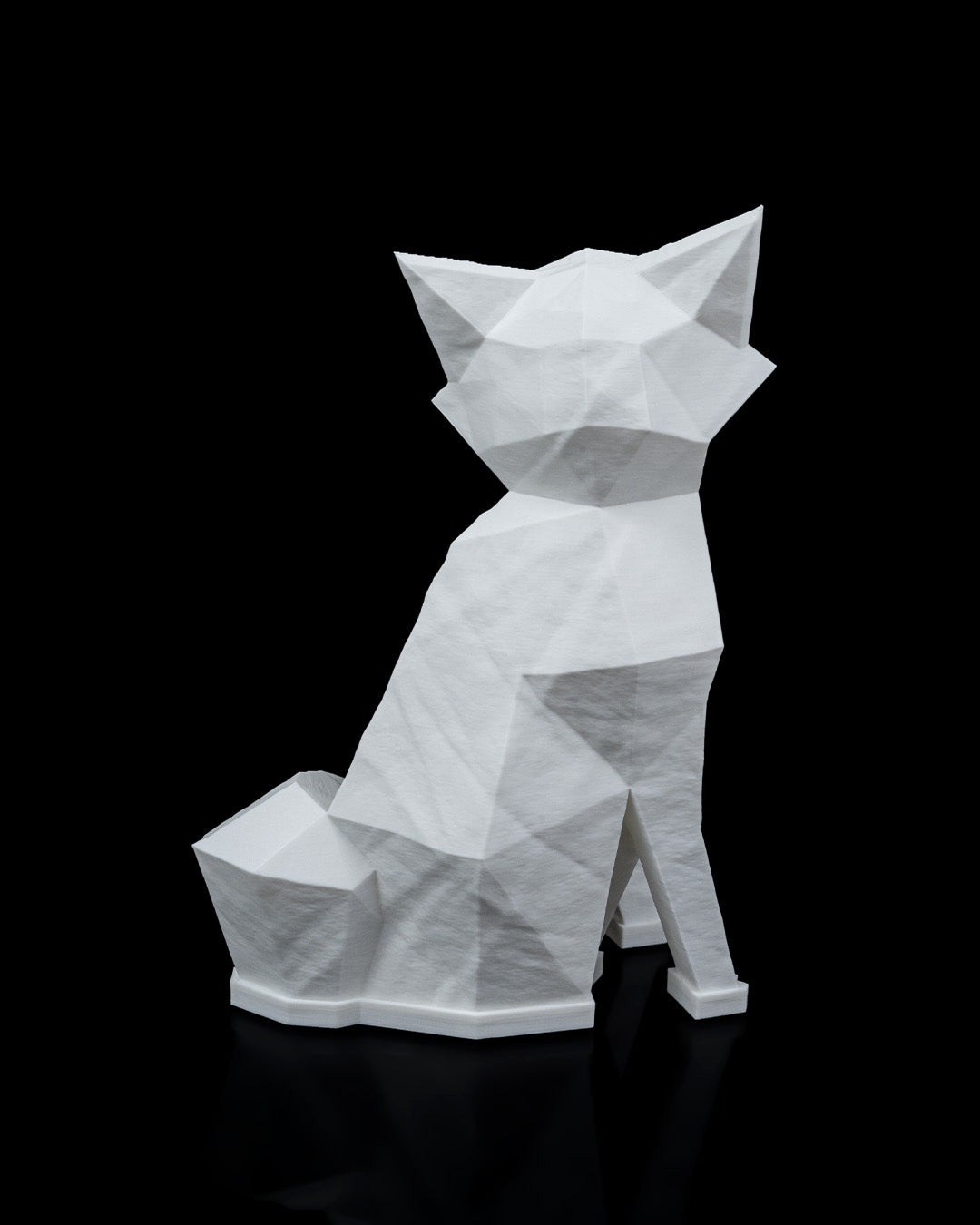 Night lights - Fox