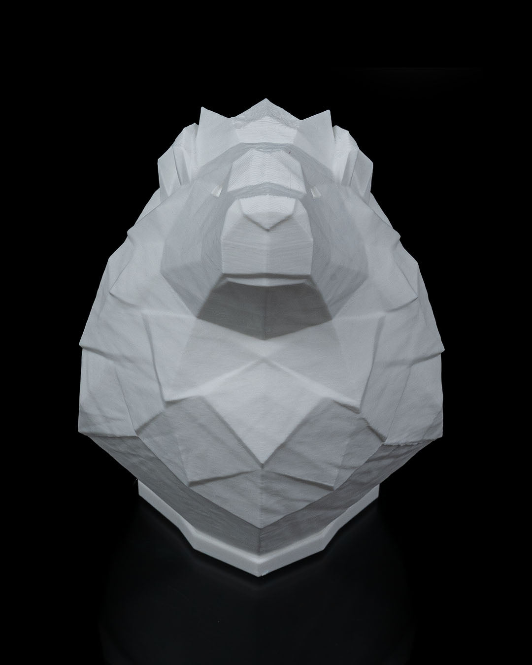 Night lights - Lion