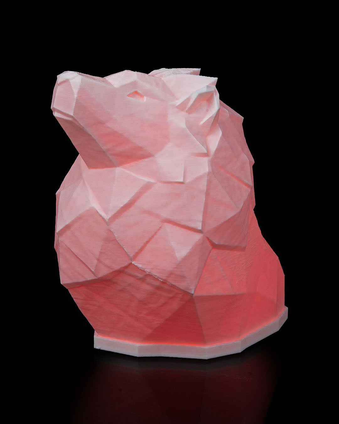 Night lights - Lion