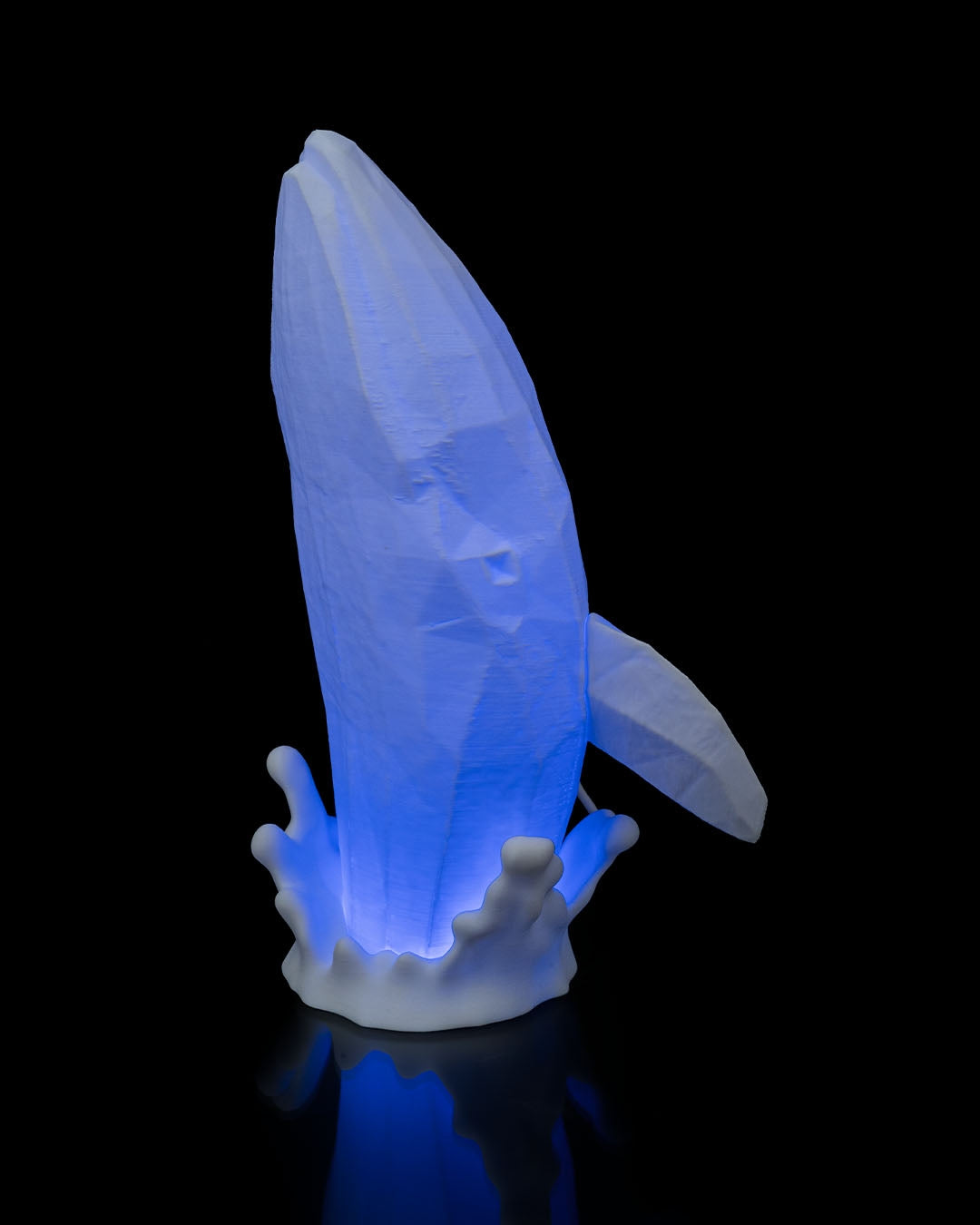 Night lights - Whale