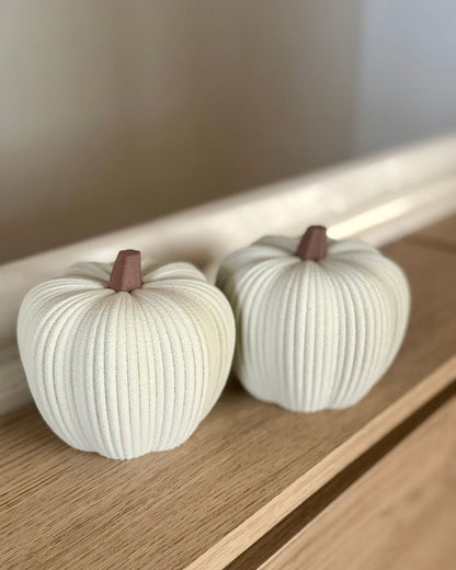 Minimalist Ribbed Pumpkins