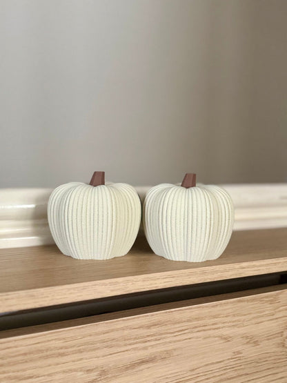 Minimalist Ribbed Pumpkins