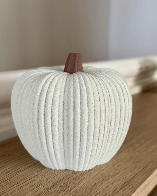 Minimalist Ribbed Pumpkins