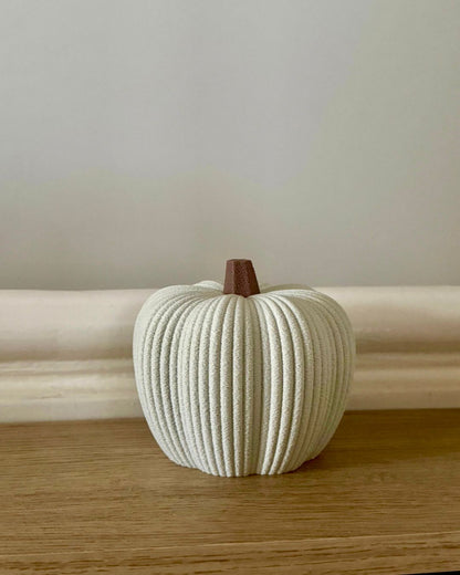 Minimalist Ribbed Pumpkins