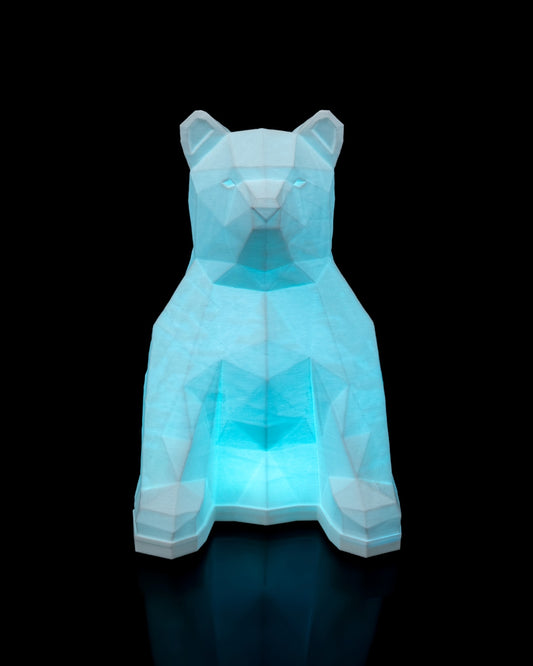 Night lights - Bear