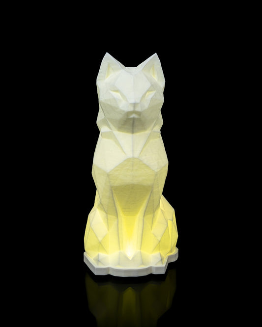 Night lights - Cat