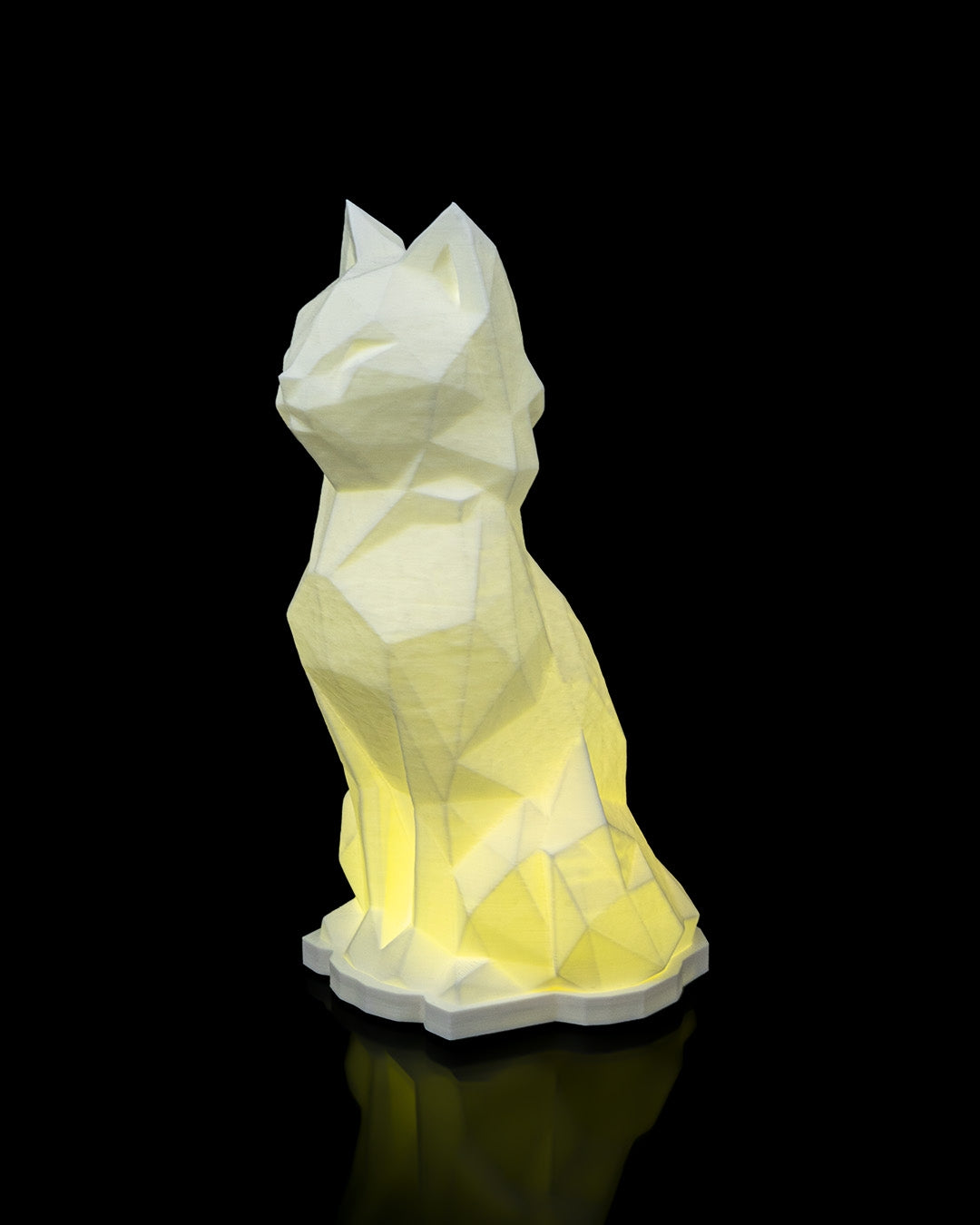 Night lights - Cat
