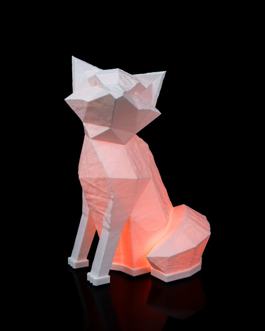 Night lights - Fox