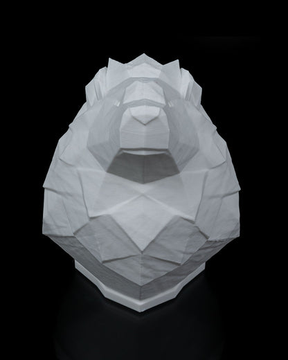 Night lights - Lion