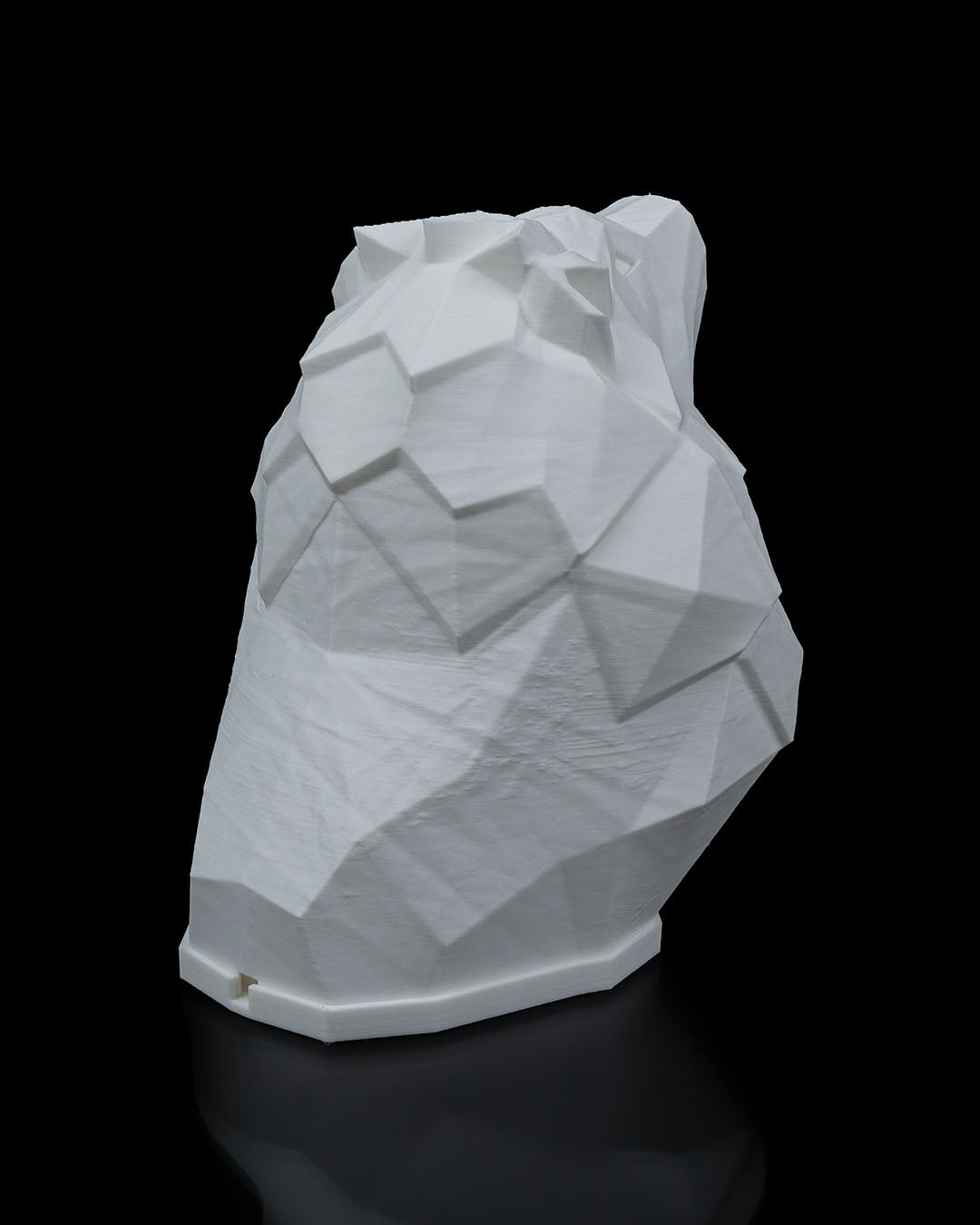 Night lights - Lion