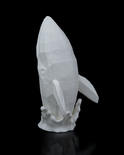 Night lights - Whale